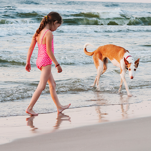 Plaża w okolicy 2